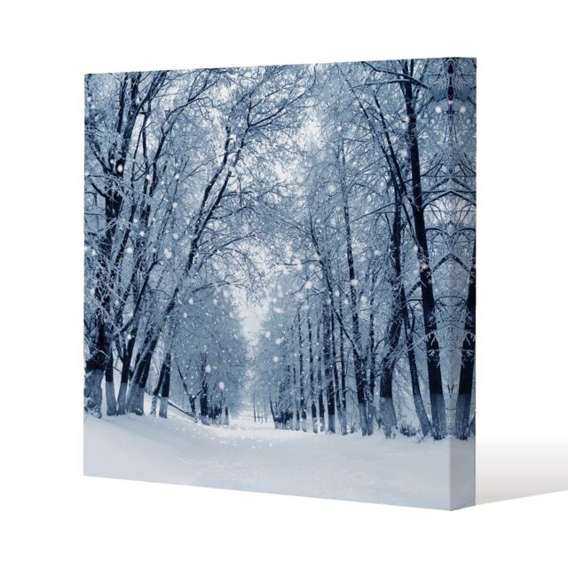 Benjamin Tate Design Snowstorm in park (canvas) / 120x 120 x 4cm in Natural - Size: 120x 120 x 4 cm - image 1