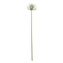 Lemon Pavilion Furniture and Decor Agapanthus Spray (Single Stem Flower) - L15 x W15 x H75 cm - Cream - thumbnail 1