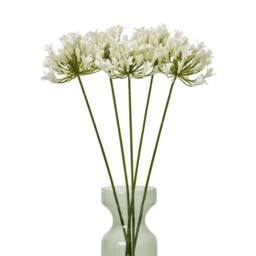 Lemon Pavilion Furniture and Decor Agapanthus Spray (Single Stem Flower) - L15 x W15 x H75 cm - Cream - thumbnail 3