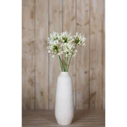 Lemon Pavilion Furniture and Decor Agapanthus Spray (Single Stem Flower) - L15 x W15 x H75 cm - Cream - thumbnail 4