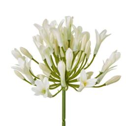 Lemon Pavilion Furniture and Decor Agapanthus Spray (Single Stem Flower) - L15 x W15 x H75 cm - Cream - thumbnail 2