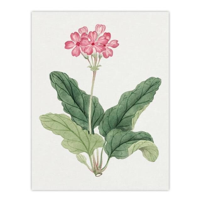 "Artery8 Sakura Flower Wall Art Print Vintage Japanese Botanical in Pink - Size: W18"" x H24""" - image 1