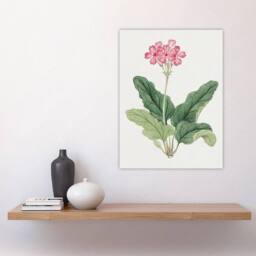 "Artery8 Sakura Flower Wall Art Print Vintage Japanese Botanical in Pink - Size: W18"" x H24""" - thumbnail 4