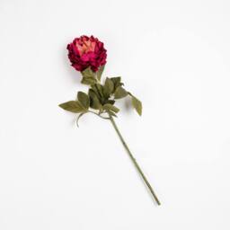 Scottish Everlastings Ltd 73cm Fuchsia Peony Stem 3PK in Pink - thumbnail 2
