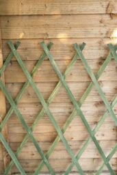 Marco Paul 1.8m Heavy Duty Expanding Wooden Trellis - Green in Beige - thumbnail 1