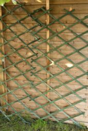 Marco Paul 1.8m Heavy Duty Expanding Wooden Trellis - Green in Beige - thumbnail 3