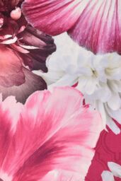 Laurence Llewelyn-Bowen 'Mayfair Lady' Velvet Filled Cushion in Pink - Size: 55 cm x 55 cm - thumbnail 5