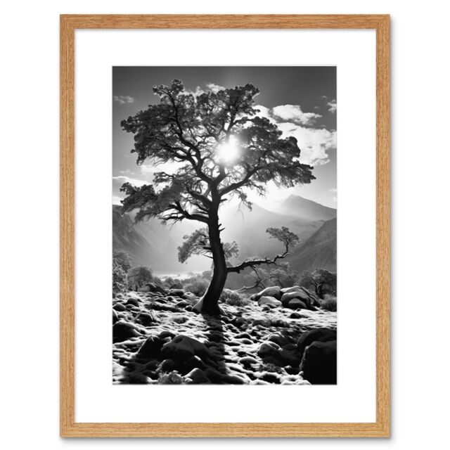 Artery8 Wall Art Print Frozen Tree Outline in Mountain Forest Landscape Covered in Snow Black & White Photograph Winter Sunshine Artwork Framed 9X7 - image 1