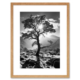 Artery8 Wall Art Print Frozen Tree Outline in Mountain Forest Landscape Covered in Snow Black & White Photograph Winter Sunshine Artwork Framed 9X7 - thumbnail 1