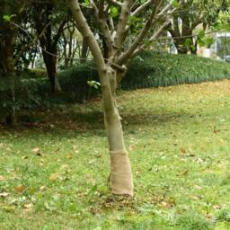 Berkfield Home Jute Roll 0.25x100 m 100% Jute 200 gsm in Light Brown - thumbnail 2