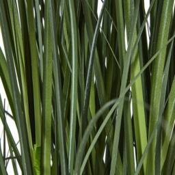 Lemon Pavilion Furniture and Decor Large Agapanthus Plant in Pot - Plastic - Height 120 cm - Blue - thumbnail 3