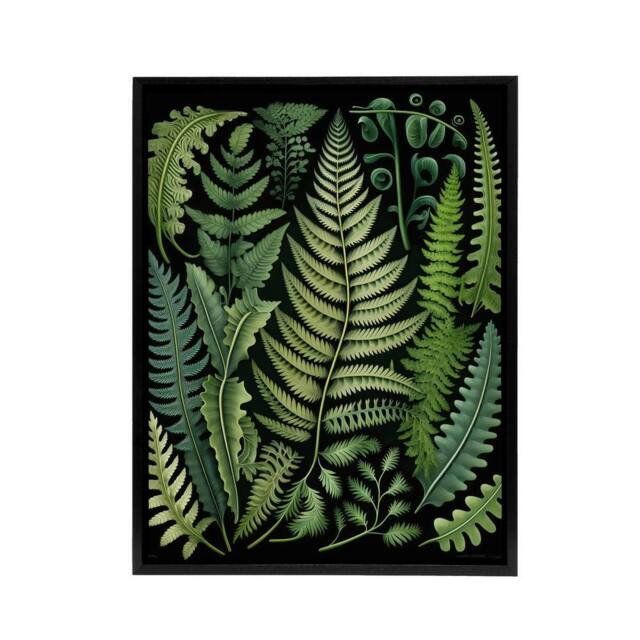 "Artery8 Ernst Haeckel Inspired Fern Leaf Fronds Framed Canvas Wall Art Print in Green - Size: W12"" x H16""" - image 1