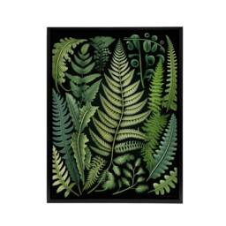 "Artery8 Ernst Haeckel Inspired Fern Leaf Fronds Framed Canvas Wall Art Print in Green - Size: W12"" x H16""" - thumbnail 1