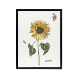 "Artery8 Sunflower Caterpillar & Two Butterflies Teyler Framed Canvas Art in White - Size: W12"" x H16""" - thumbnail 1