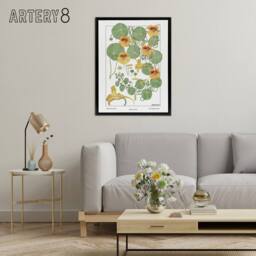 "Artery8 Nasturtium Flower Framed Canvas Wall Art Print Vintage Floral Verneuil in White - Size: W12"" x H16""" - thumbnail 3