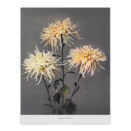 Artery8 Ogawa Kazumasa Framed Wall Art Print Chrysanthemums Vintage Floral in Yellow - Size: A4 - thumbnail 3