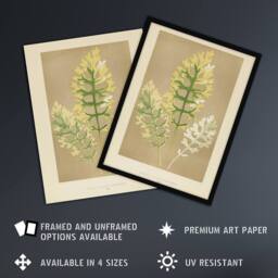"Artery8 Vintage Botanical Dusty Miller Leaves Fawcett Wall Art Poster Print in Beige - Size: W24"" x H32""" - thumbnail 2