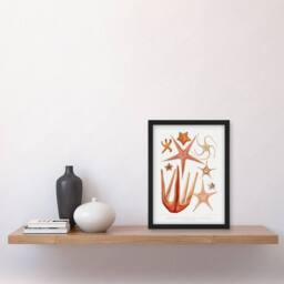 "Artery8 Starfish Biodiversity Illustration Albert I Framed Wall Art Print in White - Size: W12"" x H16""" - thumbnail 4
