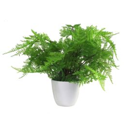 Leaf Artificial 30cm Potted Lady Fern in Green - thumbnail 6