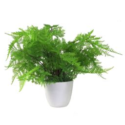 Leaf Artificial 30cm Potted Lady Fern in Green