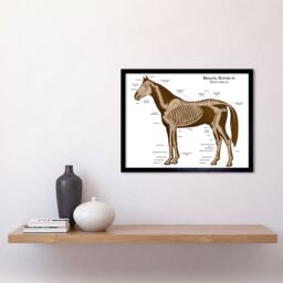 "Artery8 Wall Art Print Skeletal System of Equine Veterinary Anatomy Chart Horse Animal Bones Art Framed in Brown - Size: W12"" x H16""" - thumbnail 2