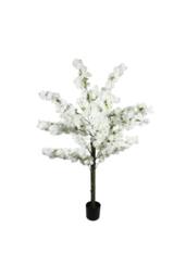 KDMD Essential White Blossom Tree 160cm - thumbnail 1