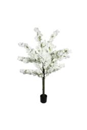 KDMD Essential White Blossom Tree 160cm - thumbnail 2