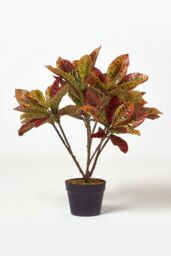 Homescapes Rushfoil' Artificial Croton Plant with Pot, 65 cm in Red - thumbnail 5