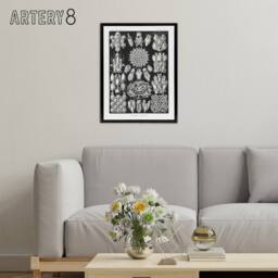 "Artery8 Bryozoa Aquatic invertebrates Haeckel Botanical Framed Canvas Wall Art in Black - Size: W24"" x H32""" - thumbnail 3