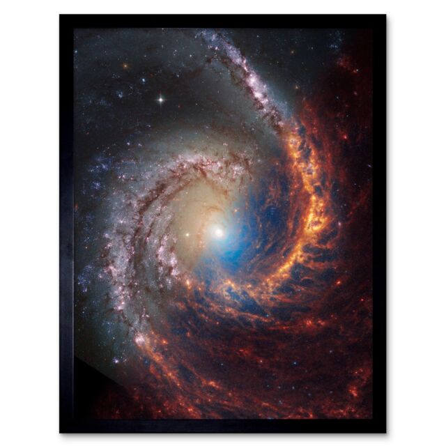 "Artery8 NASA Hubble James Webb Telescope Spiral Galaxy NGC 1566 Framed Art in Black - Size: W12"" x H16""" - image 1