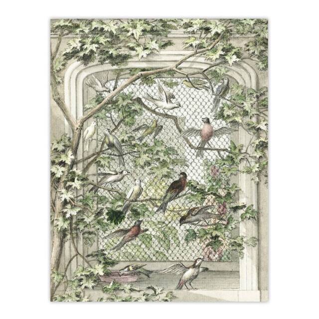 "Artery8 Aviary with Fourteen Birds Schouman Wall Art Poster Print in Green - Size: W24"" x H32""" - image 1