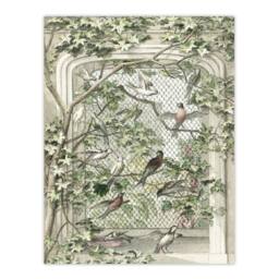 "Artery8 Aviary with Fourteen Birds Schouman Wall Art Poster Print in Green - Size: W24"" x H32""" - thumbnail 1