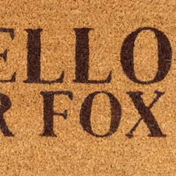 Kukoon Front Door Mat Natural Coir Dirt Catching Rug - Mr Fox in Beige - Size: 45 cm x 70 cm - thumbnail 5
