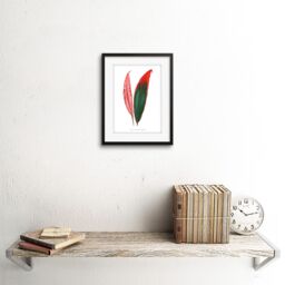"Artery8 Wall Art Print Leaf Dracaena Ferrea Versicolor Art Framed 9x7 inch in Black - Size: W7"" x H9""" - thumbnail 2