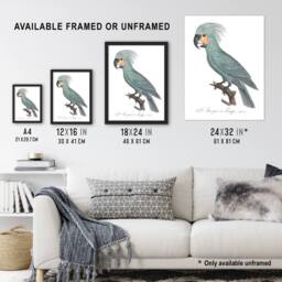 "Artery8 The Palm Cockatoo Parrot Francois Levaillant Wall Art Poster Print in White - Size: W12"" x H16""" - thumbnail 3