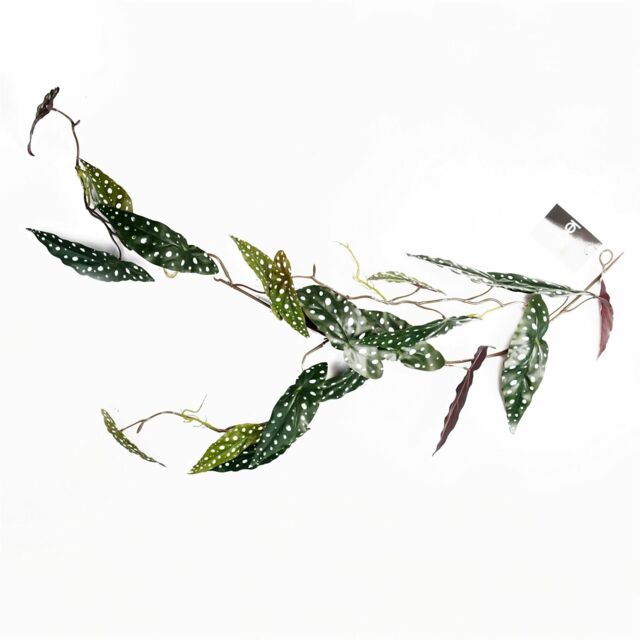 Leaf 110cm Artificial Trailing Hanging Begonia Maculata Spotted Plant Realistic in Green - image 1