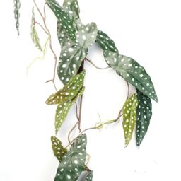 Leaf 110cm Artificial Trailing Hanging Begonia Maculata Spotted Plant Realistic in Green - thumbnail 3