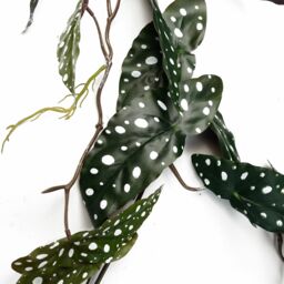 Leaf 110cm Artificial Trailing Hanging Begonia Maculata Spotted Plant Realistic in Green - thumbnail 4