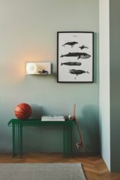 Nordlux Modern Indoor Wall Light White Metal E14 Shelf - No, IP20 - thumbnail 4