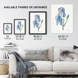 "Artery8 Iris Pallida Botanical Redoute Vintage Wall Art Print Poster in White - Size: W18"" x H24""" - thumbnail 3