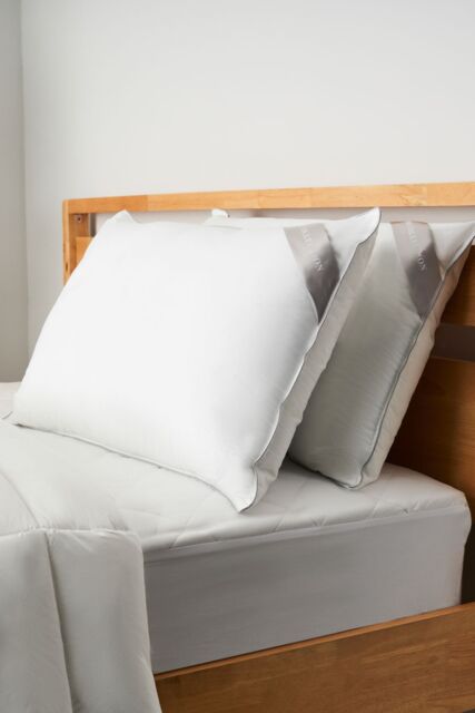 BHS Home Collection Feels Like Down Pair Pillow in White - Size: Double - image 1