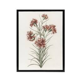 "Artery8 Six Carnations Vintage Illustration Teyler Black Framed Canvas Art in White - Size: W12"" x H16""" - thumbnail 1