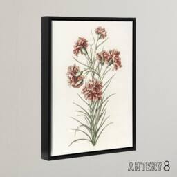 "Artery8 Six Carnations Vintage Illustration Teyler Black Framed Canvas Art in White - Size: W12"" x H16""" - thumbnail 2