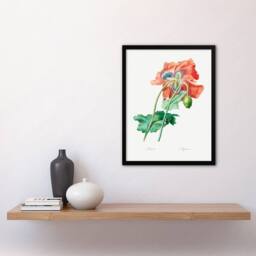 Artery8 Redoute Framed Wall Art Poppy Flower Vintage Botanical Illustration in White - Size: A4 - thumbnail 2