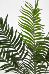 Homescapes Green Mini Palm Tree Artificial Plant with Pot, 70 cm - thumbnail 4