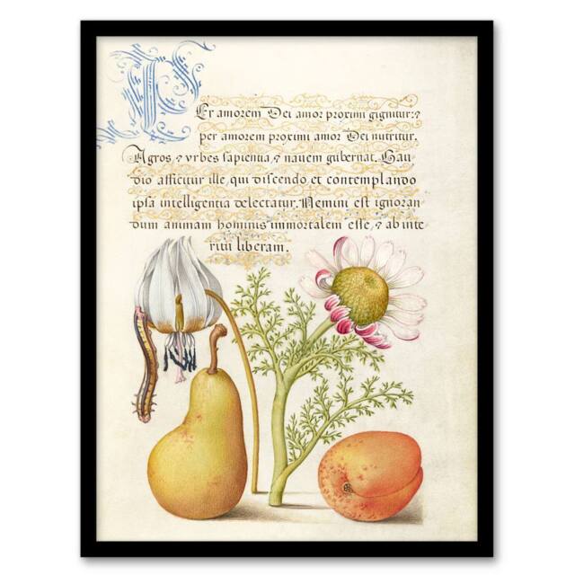 "Artery8 Caterpillar Flowers & Fruit Calligraphy Framed Wall Art Print - Size: W12"" x H16""" - image 1