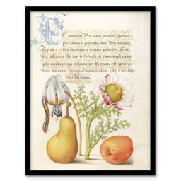 "Artery8 Caterpillar Flowers & Fruit Calligraphy Framed Wall Art Print - Size: W12"" x H16""" - thumbnail 1