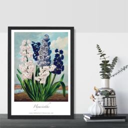 ARTZE Vintage Floral Exhibition - Hyacinth Flowers Framed Print SIZE: A2 with Black Frame in Green - Size: A4 - thumbnail 2