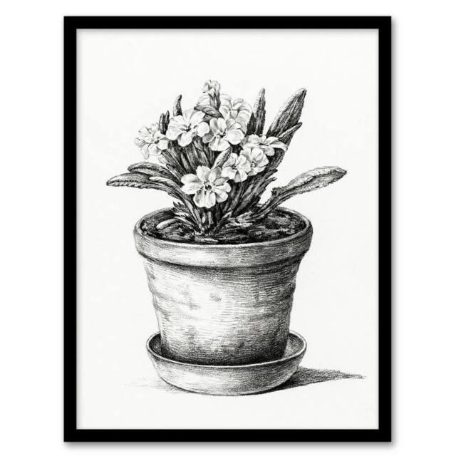 Artery8 Jean Bernard Framed Wall Art Potted Flowering Plant Pencil Drawing in White - Size: A4 - image 1