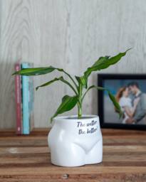 Boxer Gifts The Wetter, The Better' Put Some Plants On in White - thumbnail 2